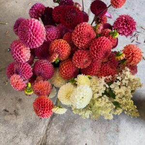 Market Bouquet - Large