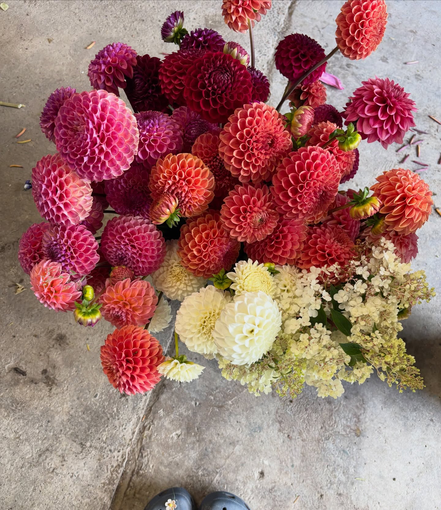 Market Bouquet - Large