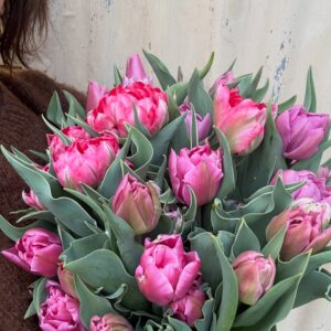 Market Bouquet - Extra Large